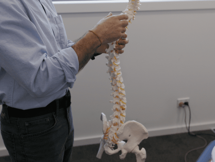 chiropractor spine alignment